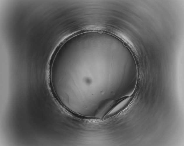 X0000096630992200802051103