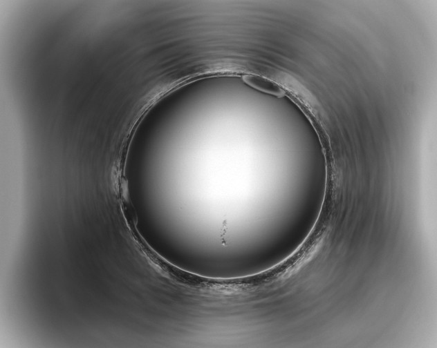X0000096630993200802051103