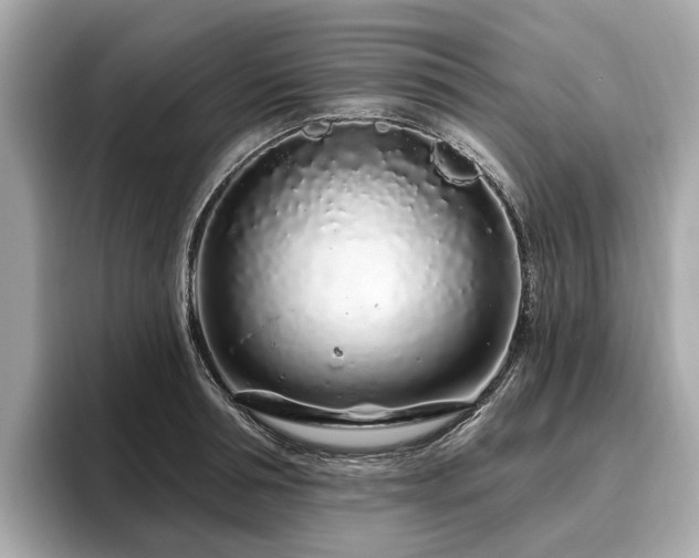 X0000096630994200802051103