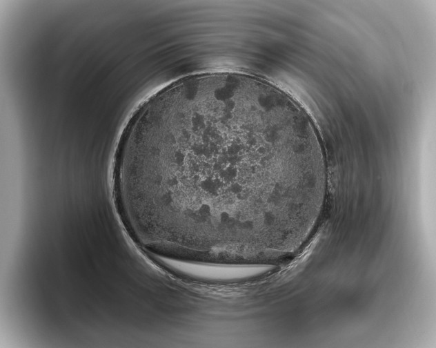 X0000096630995200802051103