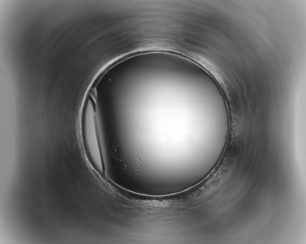 X0000096630996200802051103