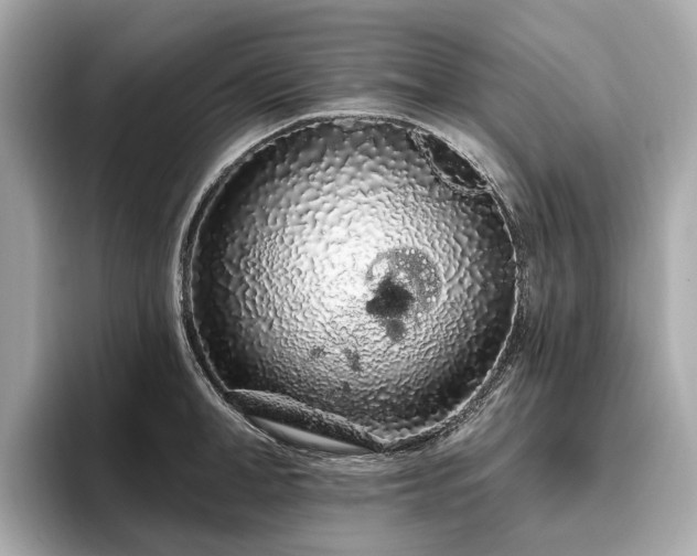 X0000096630998200802051103