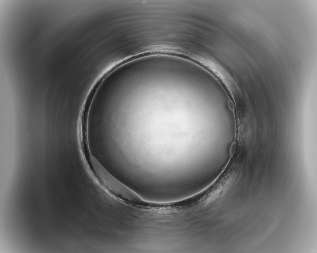 X0000096630999200802051103