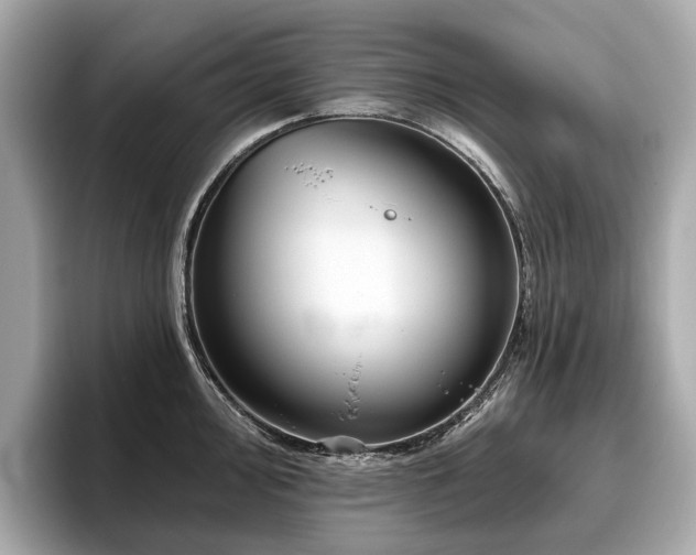 X0000096631000200802051103