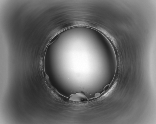 X0000096631001200802051103