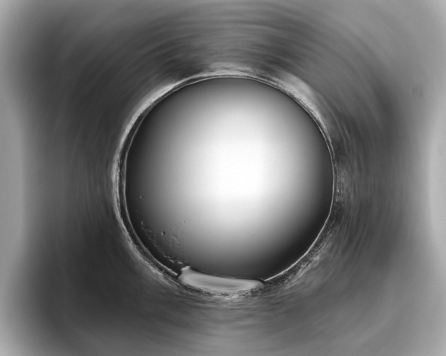 X0000096631003200802051103