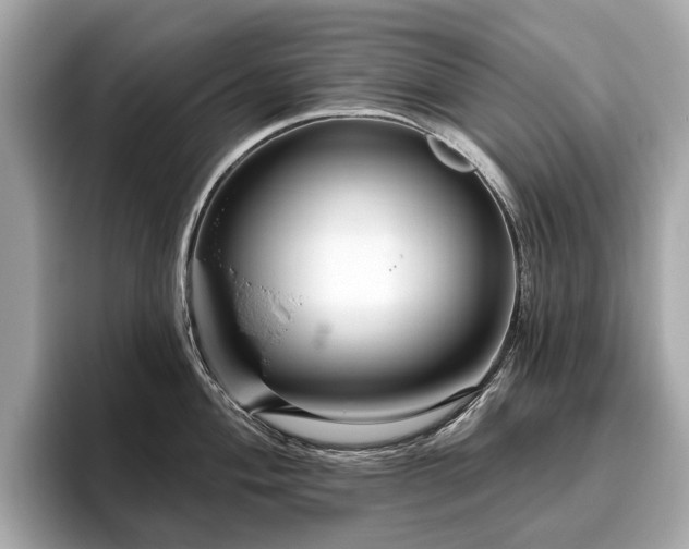 X0000096631004200802051103