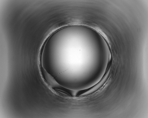 X0000096631005200802051103