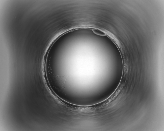 X0000096631006200802051103