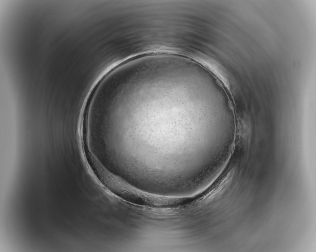 X0000096631007200802051103