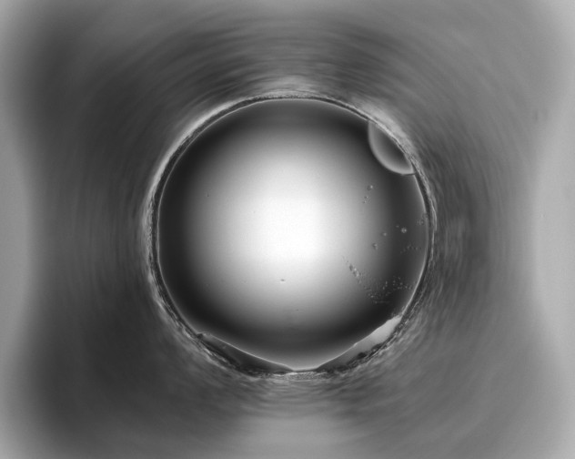 X0000096631008200802051103