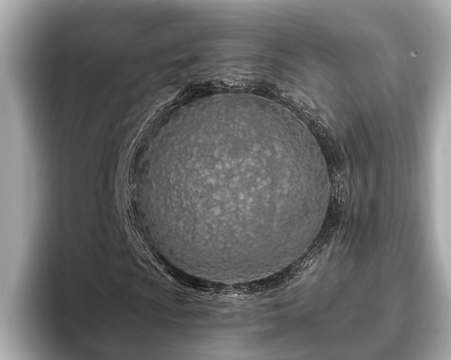 X0000096631009200802051102