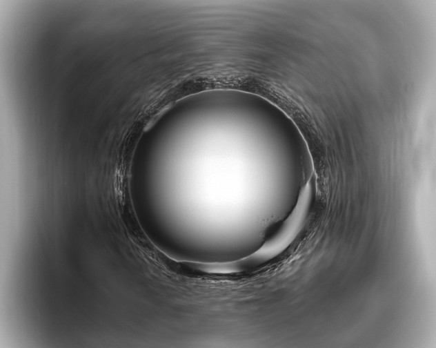 X0000096631010200802051102