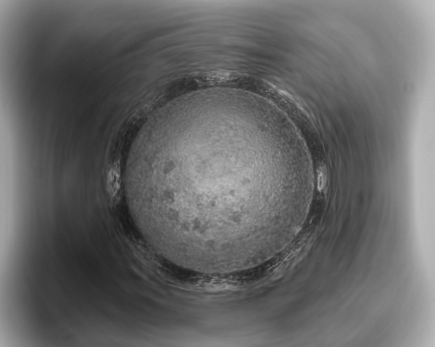 X0000096631011200802051102