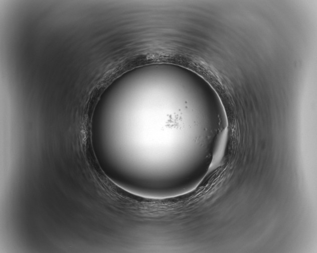 X0000096631012200802051102