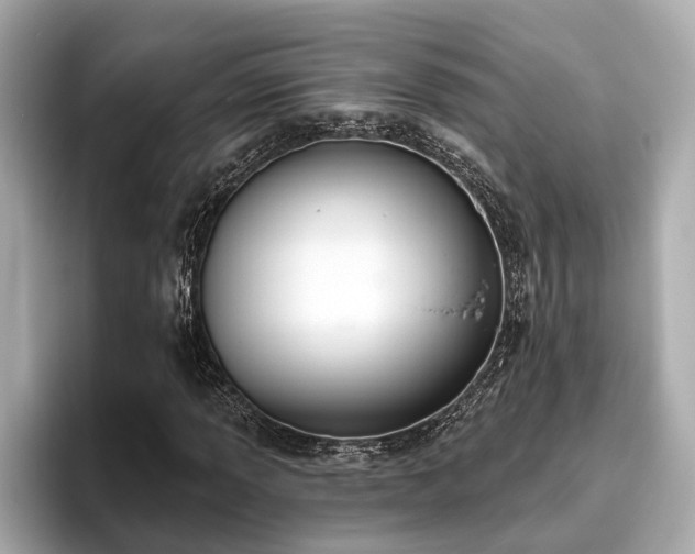 X0000096631013200802051102