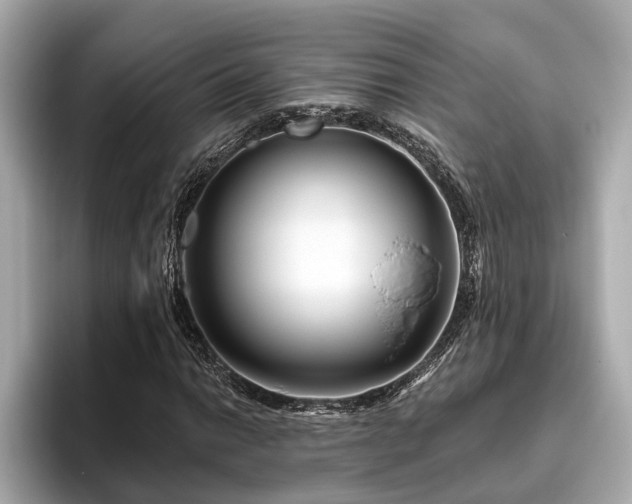 X0000096631014200802051102