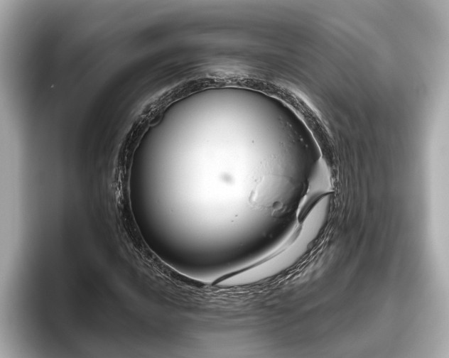 X0000096631016200802051102