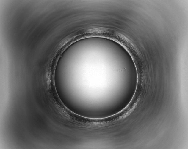 X0000096631017200802051102