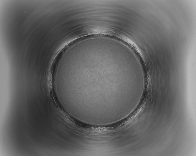 X0000096631019200802051102