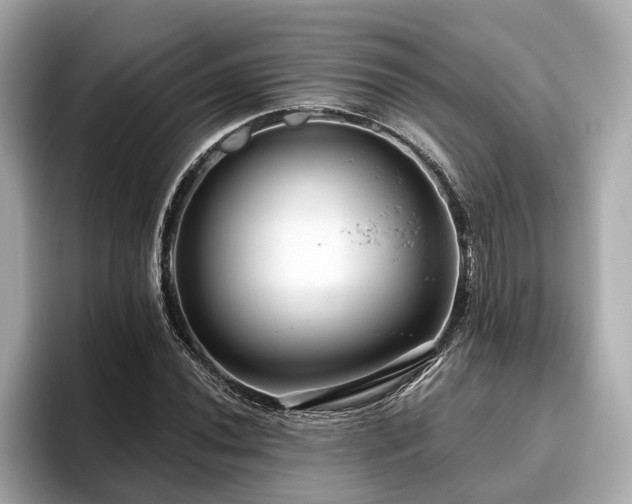 X0000096631020200802051102