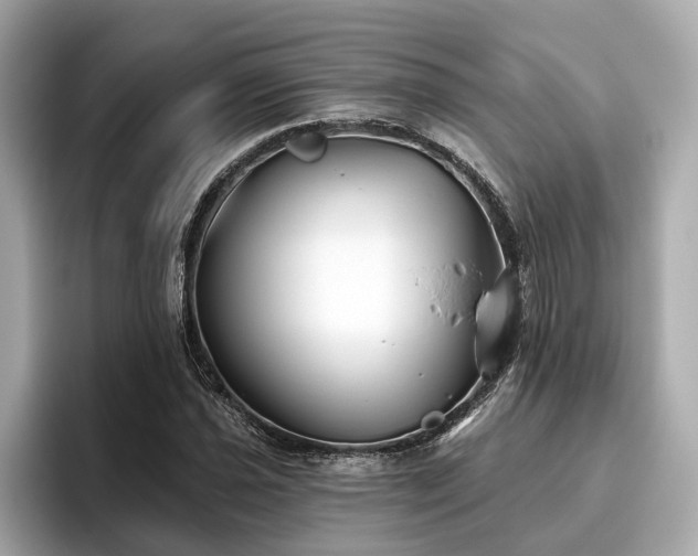 X0000096631021200802051102