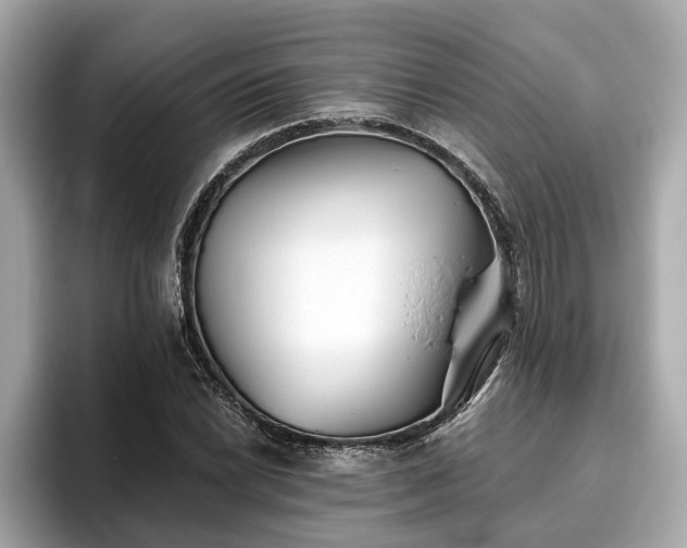 X0000096631022200802051102