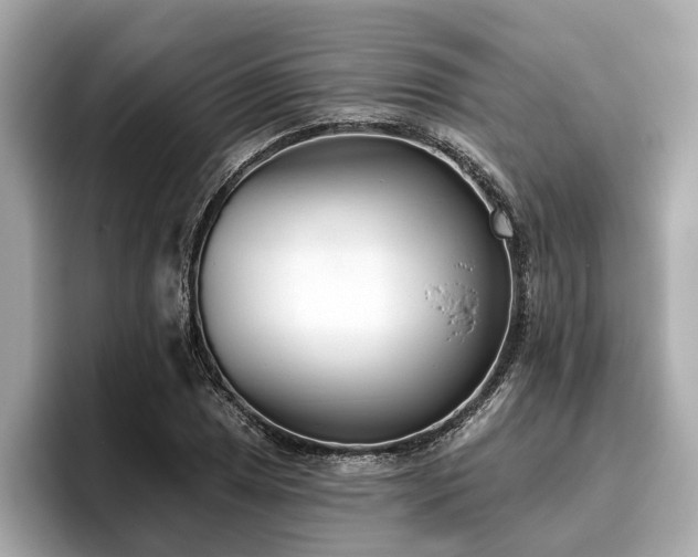 X0000096631025200802051102