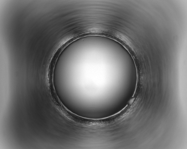 X0000096631026200802051102