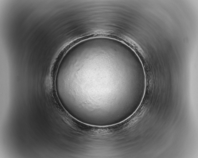 X0000096631027200802051102