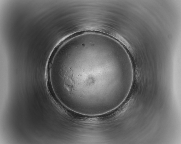 X0000096631028200802051102