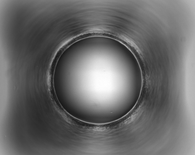 X0000096631029200802051102