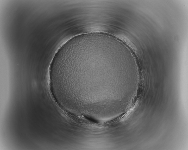 X0000096631031200802051102