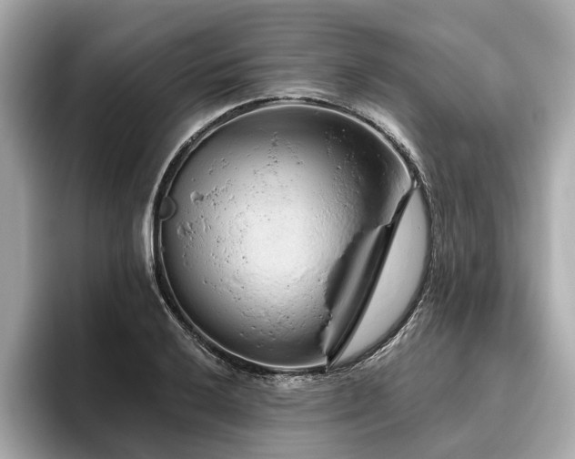 X0000096631032200802051102