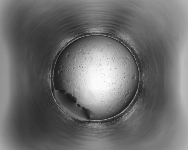 X0000096631033200802051102