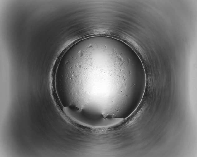 X0000096631034200802051103
