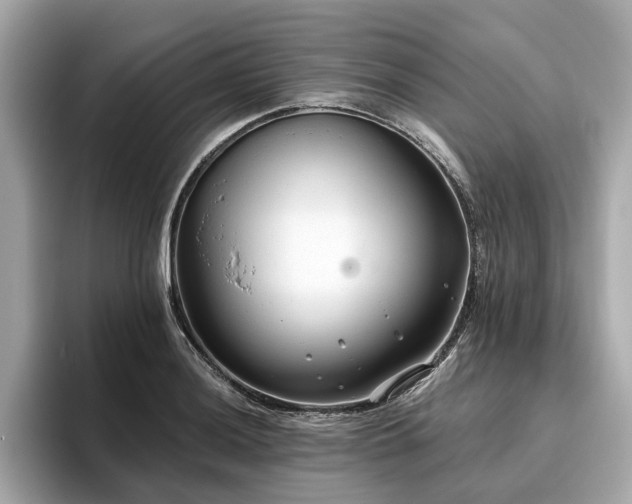 X0000096631036200802051103