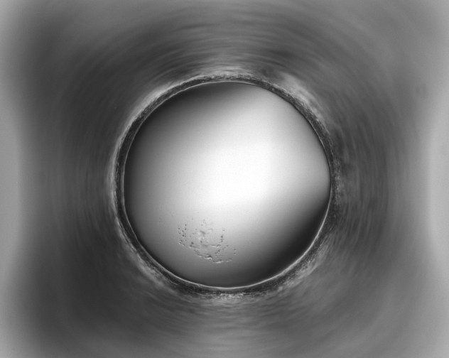 X0000096631038200802051103
