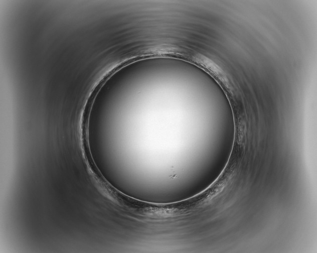X0000096631039200802051103