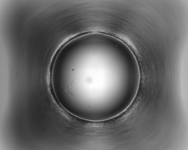X0000096631040200802051103