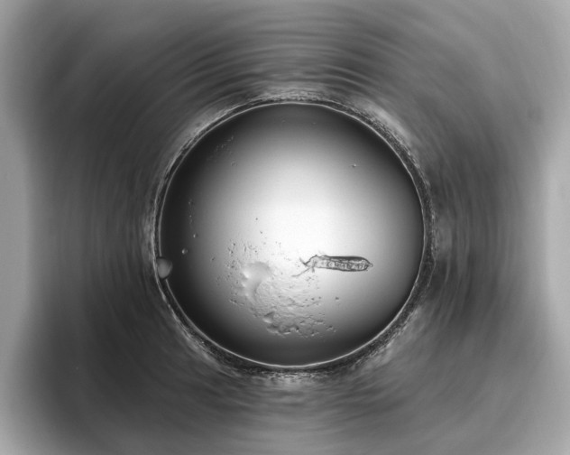 X0000096631041200802051103