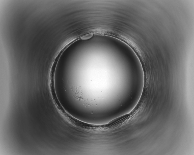 X0000096631042200802051103
