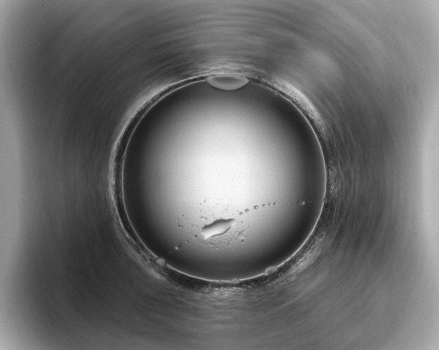 X0000096631043200802051103