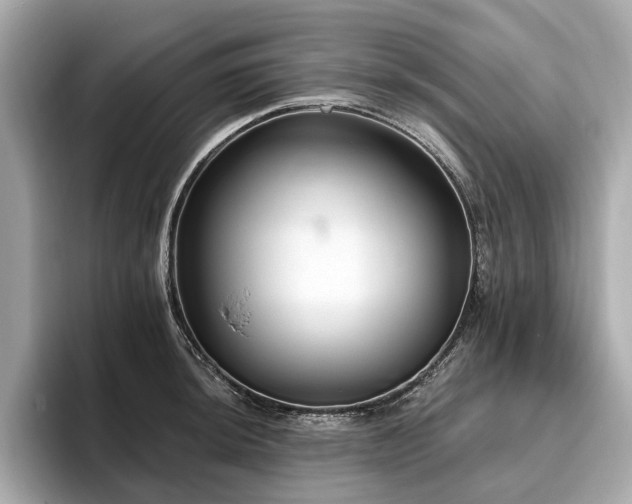 X0000096631044200802051103