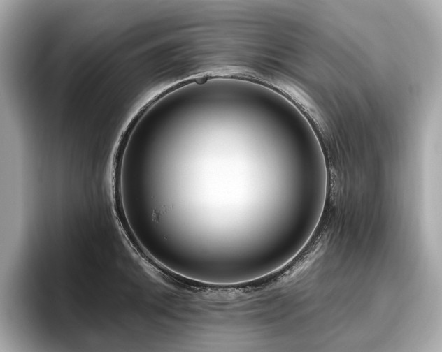 X0000096631046200802051103