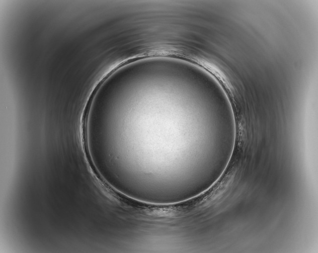 X0000096631047200802051103