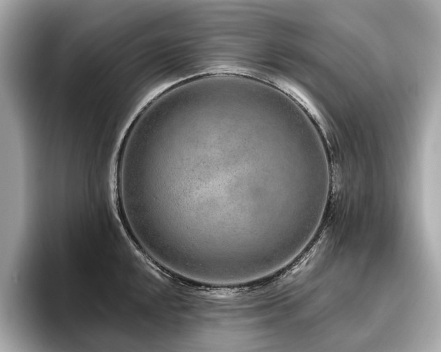 X0000096631048200802051103