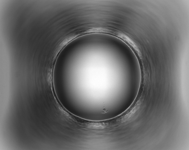 X0000096631049200802051103