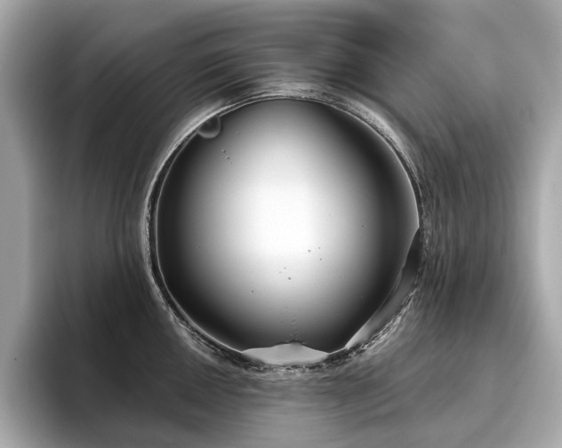 X0000096631050200802051103