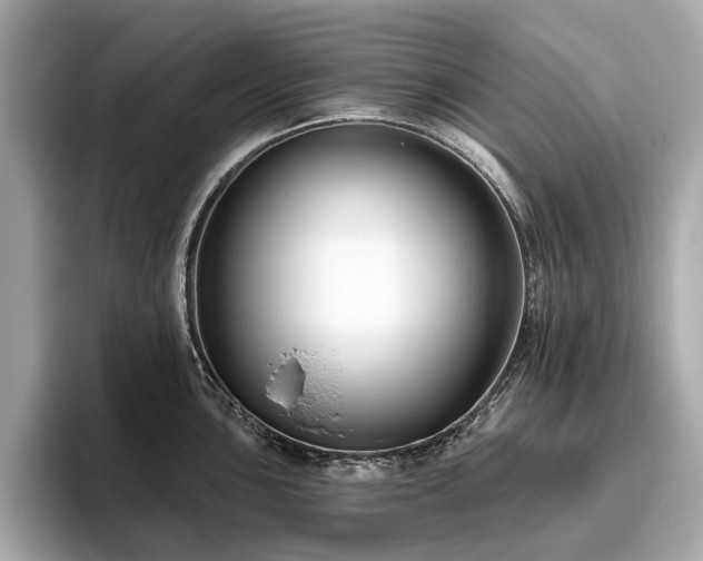 X0000096631051200802051103